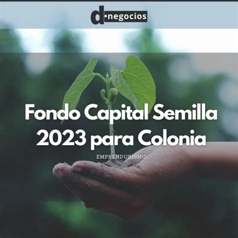 Fondo Capital Semilla Para Colonia