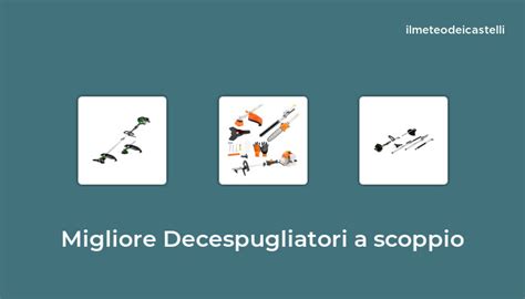 Migliore Decespugliatori A Scoppio Nel Secondo Utenti