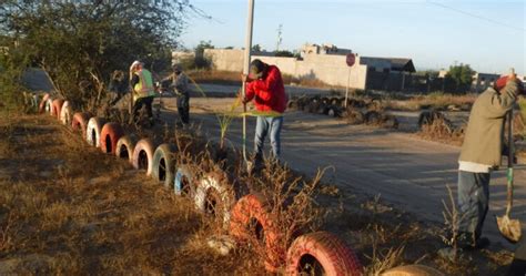 Plantan M S De Mil Rboles En Escuelas Y Espacios P Blicos De La Paz