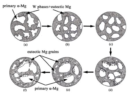 Schematic Diagram Of Microstructure Evolution In Mg 10zn 4y 68gd