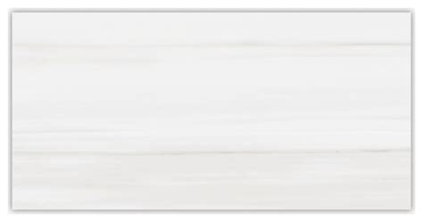 Dolomite White Matte 12x24 Porcelain Tile 12x24 Traditional Wall