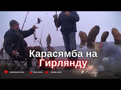Карасямба на «Гирлянду -Самодур» для переселения оз. МИРУ-МИР 17.12.23г ...