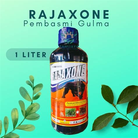 Rajaxone Sl Parakuat Herbisida Membasmi Gulma Hama Ukuran Liter