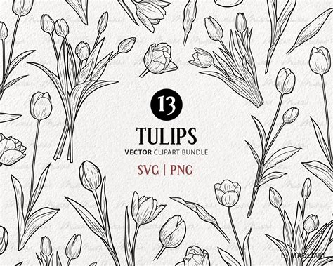 13 Tulips Svg Clipart Bundle Easter Tulip Vector Line Drawings Spring