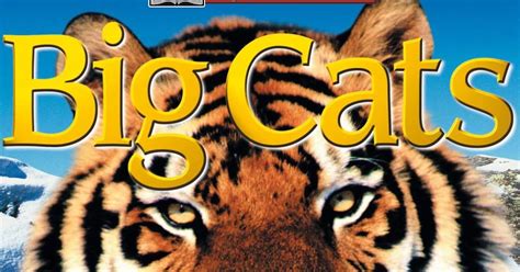 Read My Ebooks Emagazines For Free Big Cats Dk