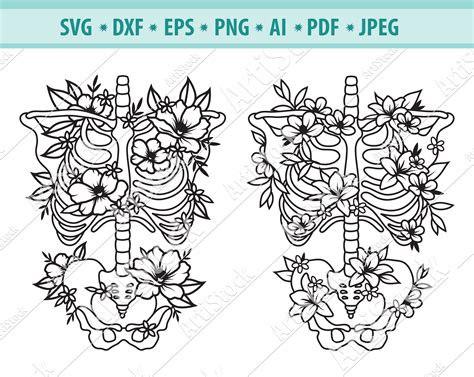 flower skeleton 4