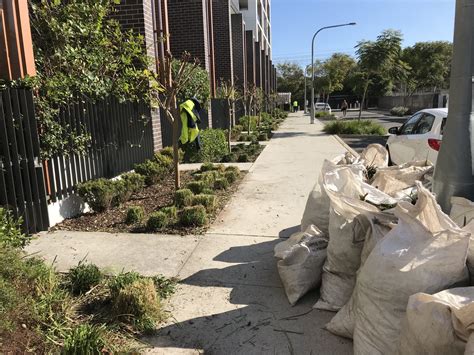 tree pruning service near me 1