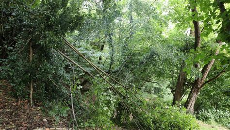 Tempête Ciaran en Indre et Loire 120 interventions des pompiers et 4