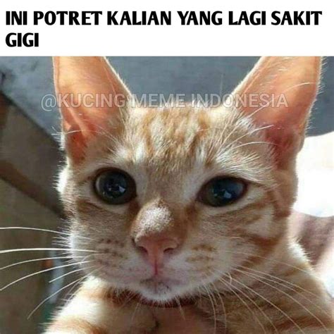 10 Meme Momen Saat Sakit Gigi Ini Lucu Cenat Cenut