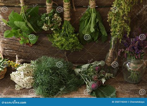 Bunches Of Different Beautiful Dried Flowers And Herbs Indoors Stock