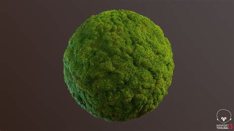 Lin Substance Designer Moss 03