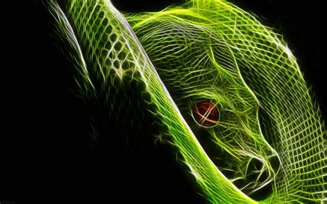 Green Snake Wallpapers - Top Free Green Snake Backgrounds - WallpaperAccess