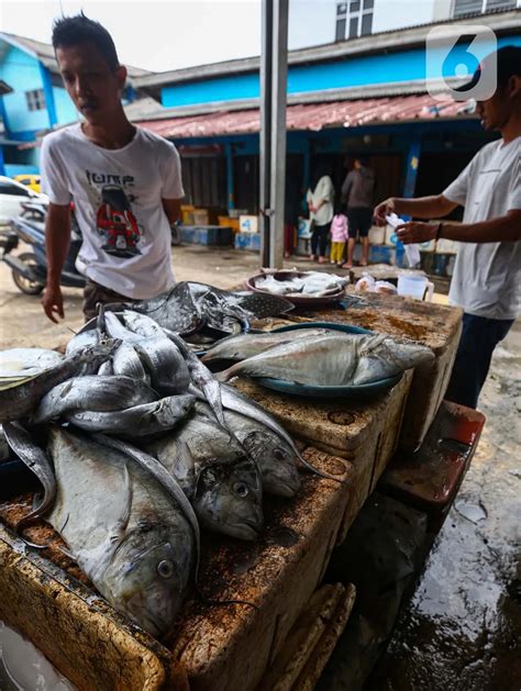 Kkp Pastikan Stok Ikan Selama Ramadan Hingga Idul Fitri Tercukupi