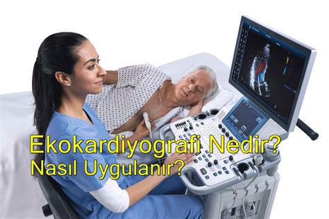 Ekokardiyografi Nedir SAĞLIKLI TÜRKİYE