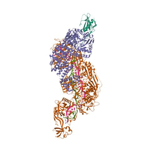 RCSB PDB 8EEY Cas7 11 In Complex With DR Mismatched Target RNA