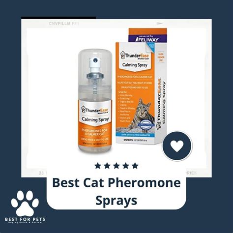 The Best Cat Pheromone Sprays Bestforpets Org