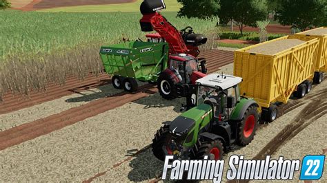 Zbiory Trzciny Farming Simulator22 YouTube