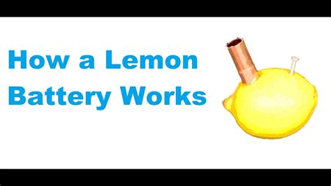 Lemon Battery Diagram