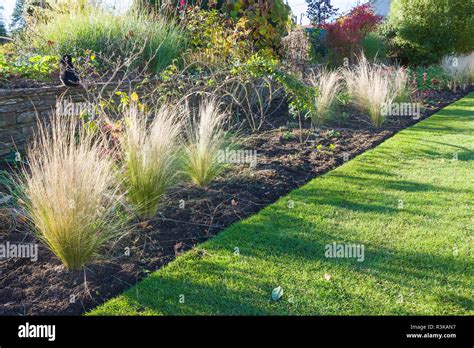 Ornamental grasses border grasses hi-res stock photography and images ...