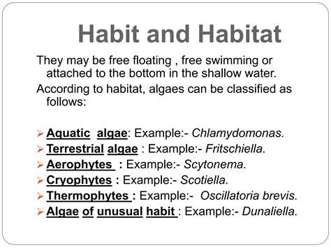 General Characteristics Of Algae Ppt