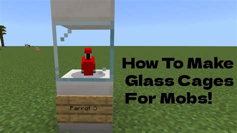 How To Make A Glass Cage For Mobs In Minecraft Youtube