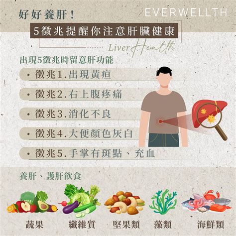 你的肝臟健康嗎？5徵兆提醒你該養肝！ Infographics Infographics Medical 2022 06 17