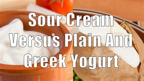 Sour Cream Vs Plain And Greek Yogurt DiTuro Productions LLC