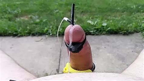 Flaccid Estim Cumshot Gay Pov Amateur Porn Feat Ratclear Xhamster