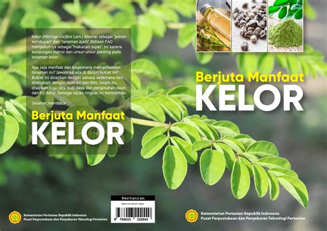 Berjuta Manfaat Kelor