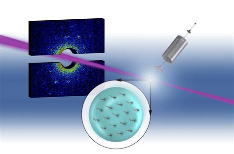 Researchers Map Quantum Vortices Inside Superfluid Helium Nanodroplets