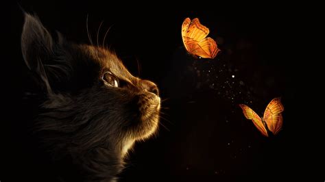 Download Kitten Butterflies Black Art Wallpaper | Wallpapers.com