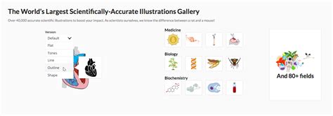 Mind the Graph vs Piktochart: Head-to-Head Comparison - MTG