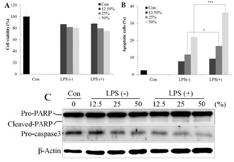 Anti Cancer Effects Of Raw 2647 Cells On Prostate Cancer Pc 3 Cells