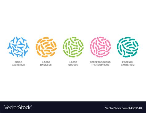 Probiotics In A Circle Good Bacteria Royalty Free Vector