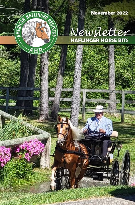 Haflinger Horse | American Haflinger Registry