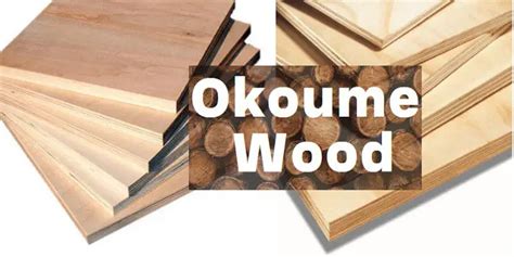 What Is Okoume Wood Uses Specifications Pros Cons