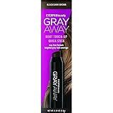 Amazon Gray Away Root Touch Up Magnetic Powder Hair Color Black