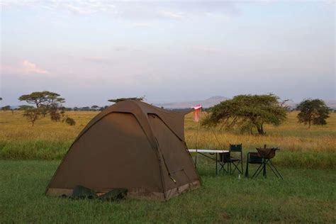 Camping in the Serengeti: What You NEED to Know Before You Go