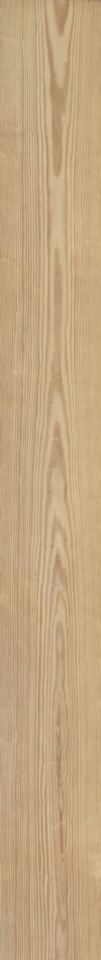 Carolina Pine Furnier Schorn Groh Furniere Veneers