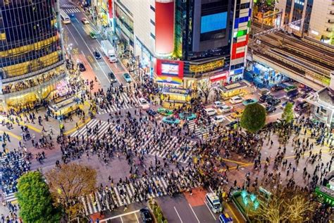 Tokyo Nightlife: The Best Places to Party in Japan