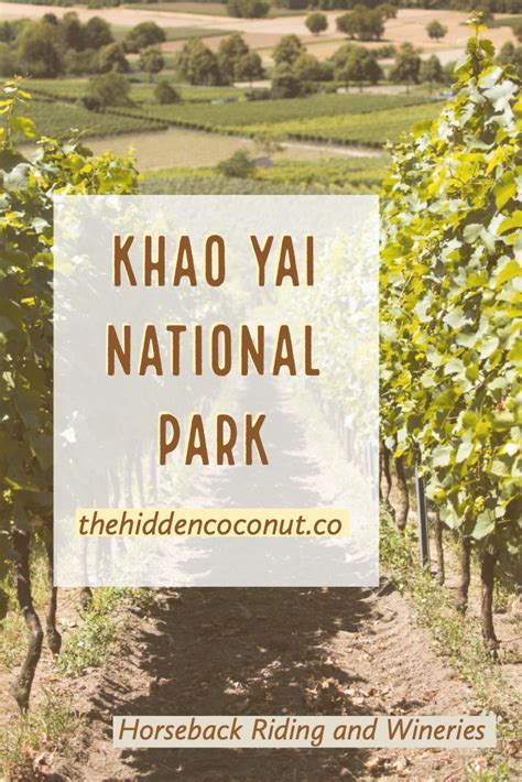 Horse riding wineries near bangkok in khao yai national park – Artofit