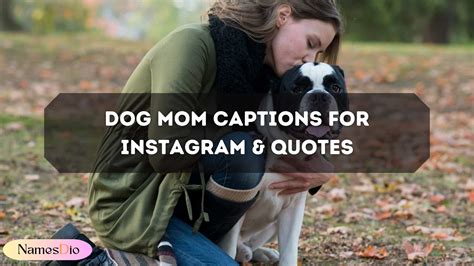 160+ Dog Mom Captions For Instagram & Quotes - NamesDio