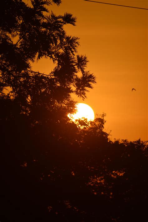 Sunrise, from pune : r/SkyPorn