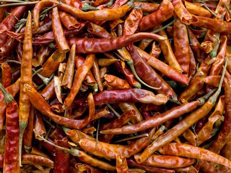 A Guide to 5 Common Types of Dried Chile Peppers