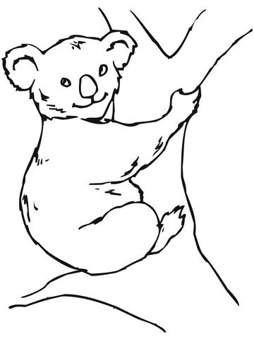 Dibujo De Koala Para Colorear Dibujos Para Colorear Imprimir Gratis