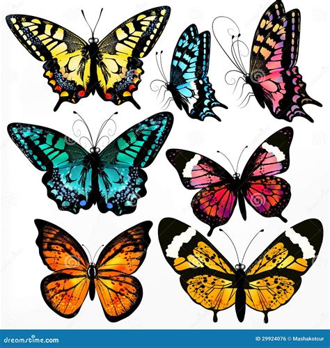 Colorful Collection Of Vector Realistic Butterflies For Design Royalty