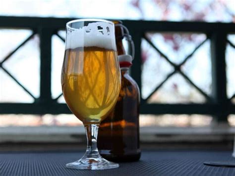 La importancia de la maduración de la cerveza Cómo hacer cerveza