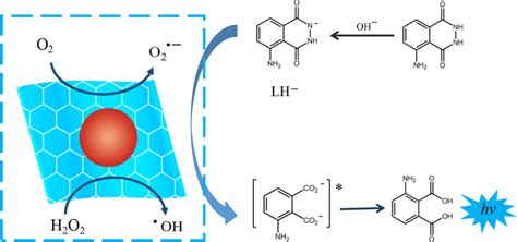 Possible chemiluminescence mechanism of luminol-H2O2catalyzed by... | Download Scientific Diagram