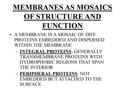 Chapter 7 Membrane Structure And Function Ppt Download