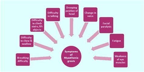 Myasthenia Gravis - Causes, Symptoms, Diagnosis and its Treatment